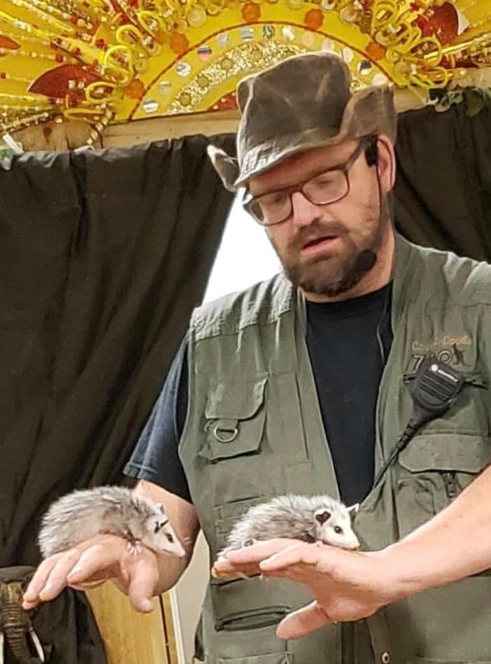 Safari Bob Wildlife show with two baby opossums