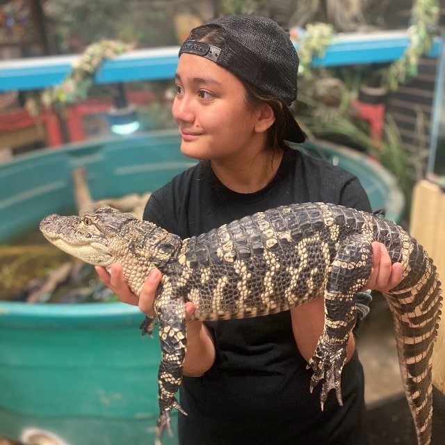 Girl with backwards had holding a baby alligator.