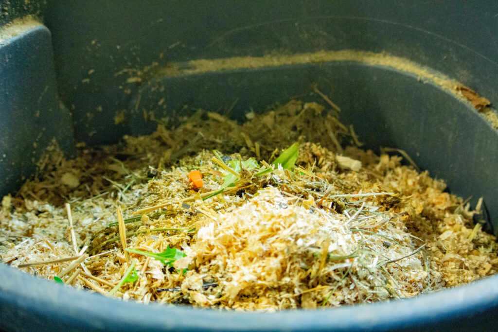 Compost Close Up