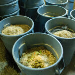 Compost Bins
