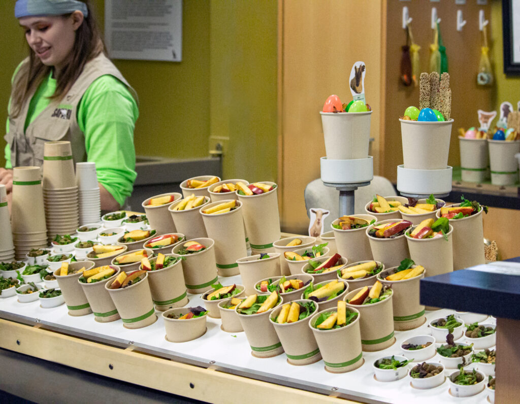front cashier and animal feed cups filled with lettuce and apples