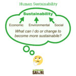 Human Sustainability