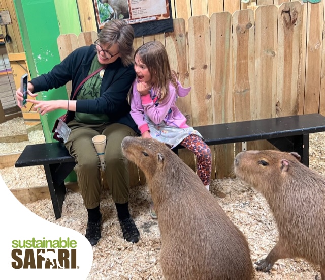 Guided Safari Tour Capybara Experience