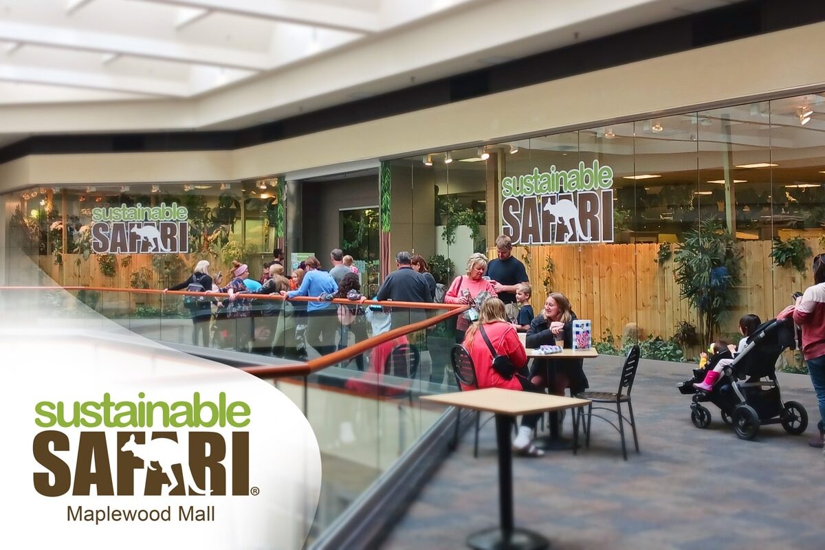 Sustainable Safari Maplewood Mall Interior with a large line of guests waiting for opening