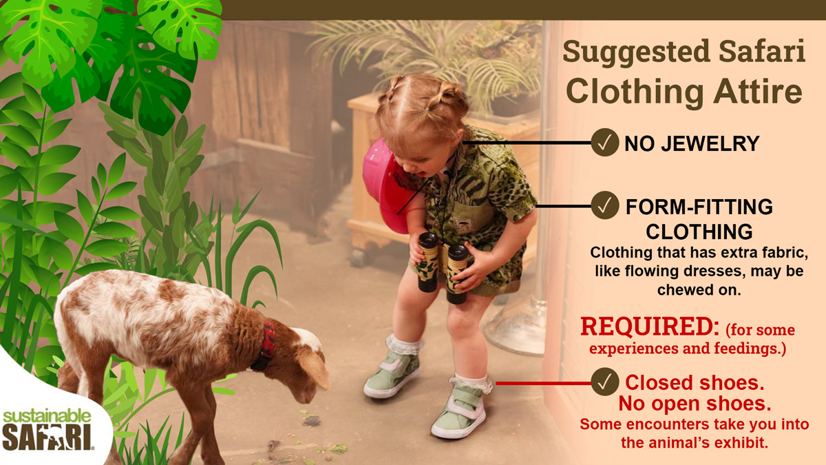 Suggested Safari Clothing Attire infographic