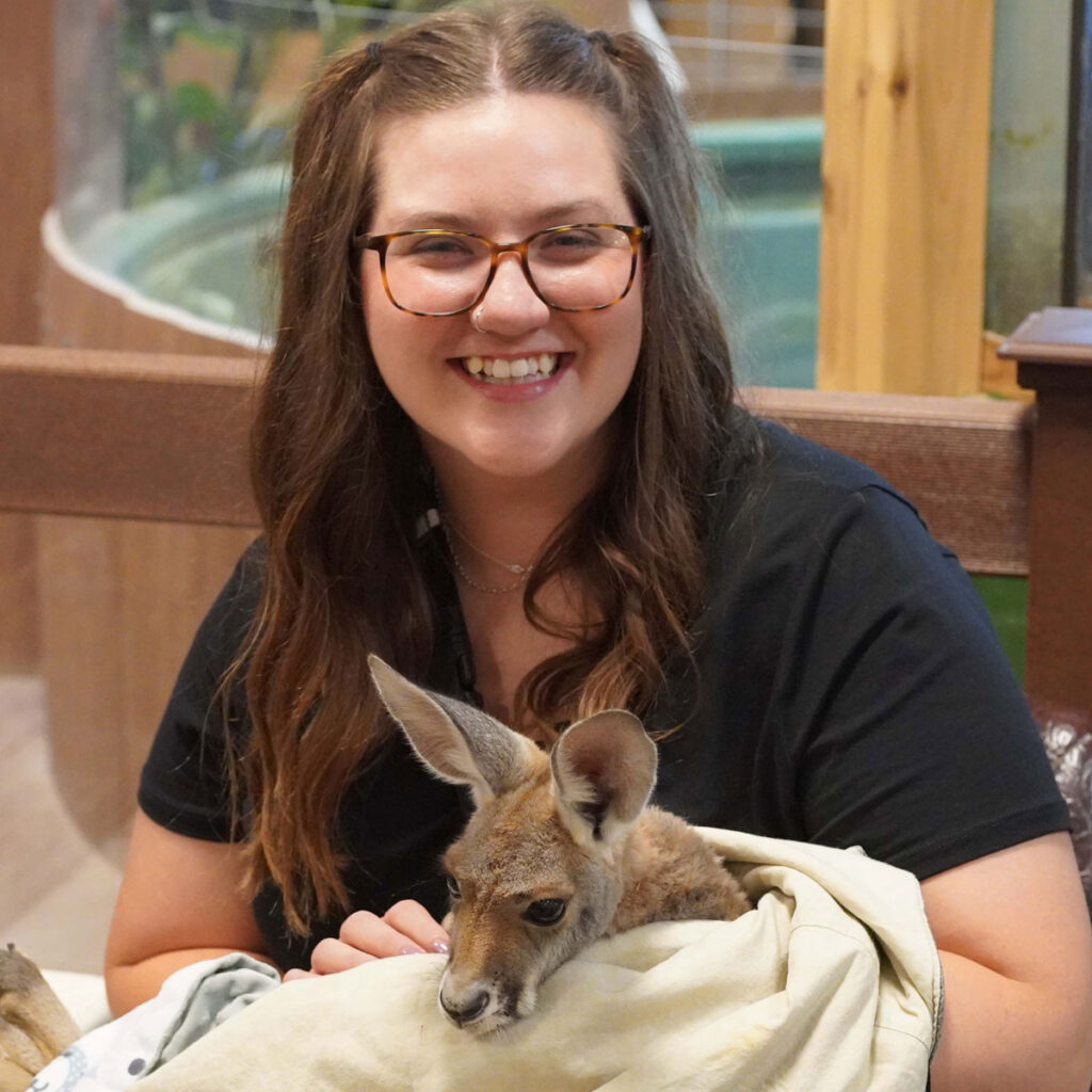 woman smiling holding a baby kangaroo in a fabric pouch