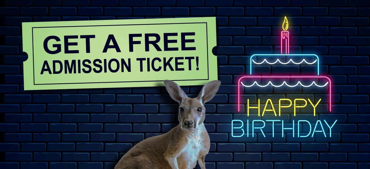 Get a Free Admission Ticket! "Happy Birthday" written on a neon sign mounted to a blue brick wall with a birthday cake neon sign above it. In the foreground is a red kangaroo looking at the camera.