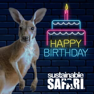 sustainable safari reviews