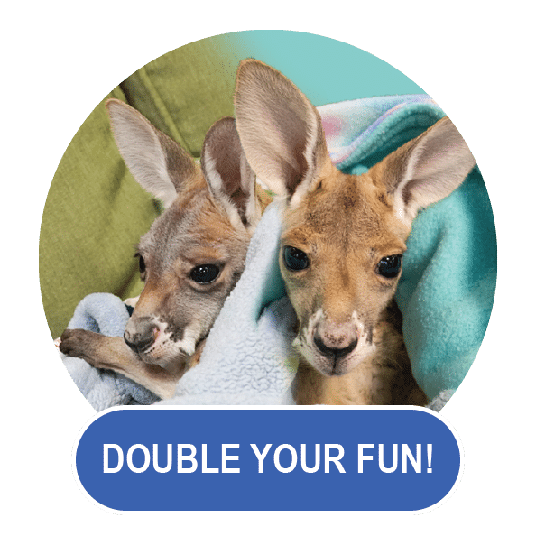 Double Your Fun Pouch Package
