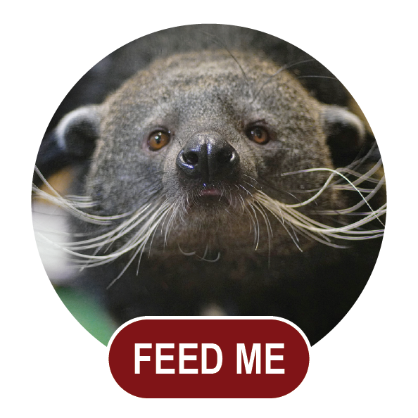 Feed Me Pouch Package