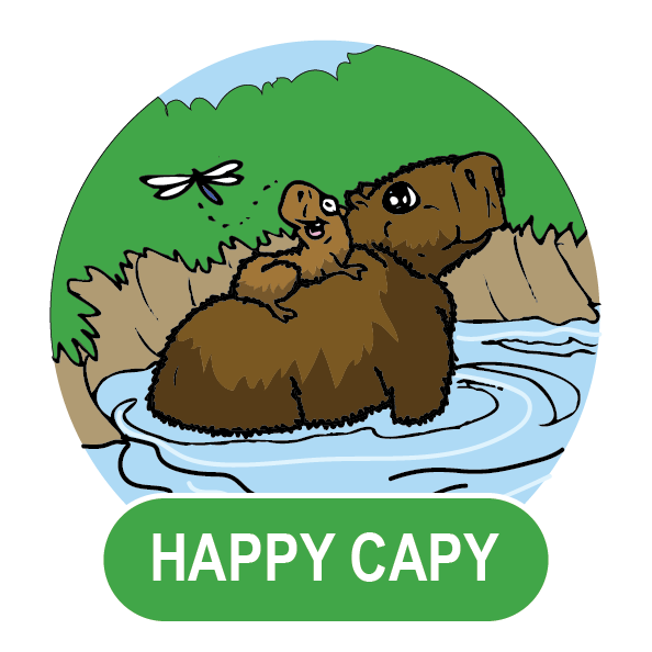 The Happy Capy Pouch Package