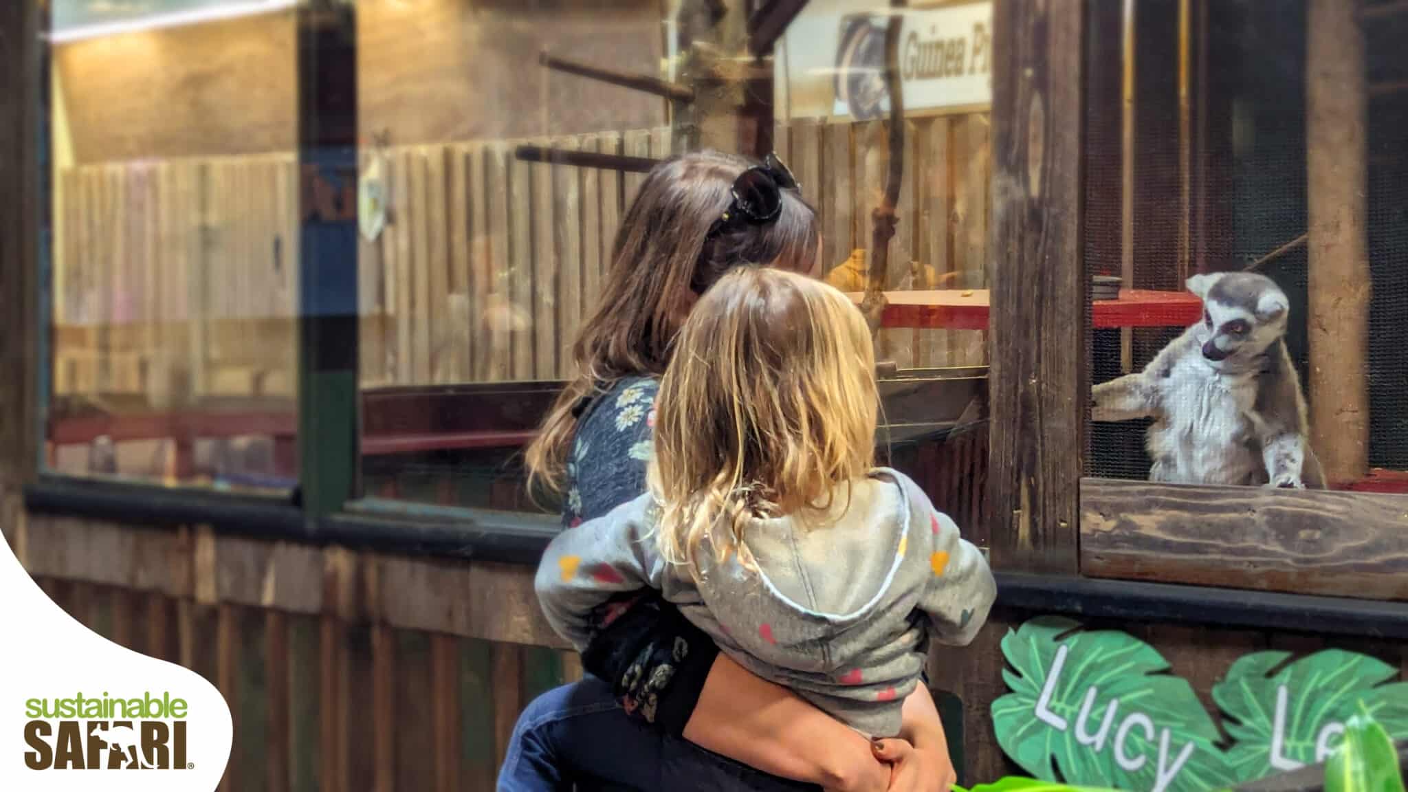 mercurial safari society