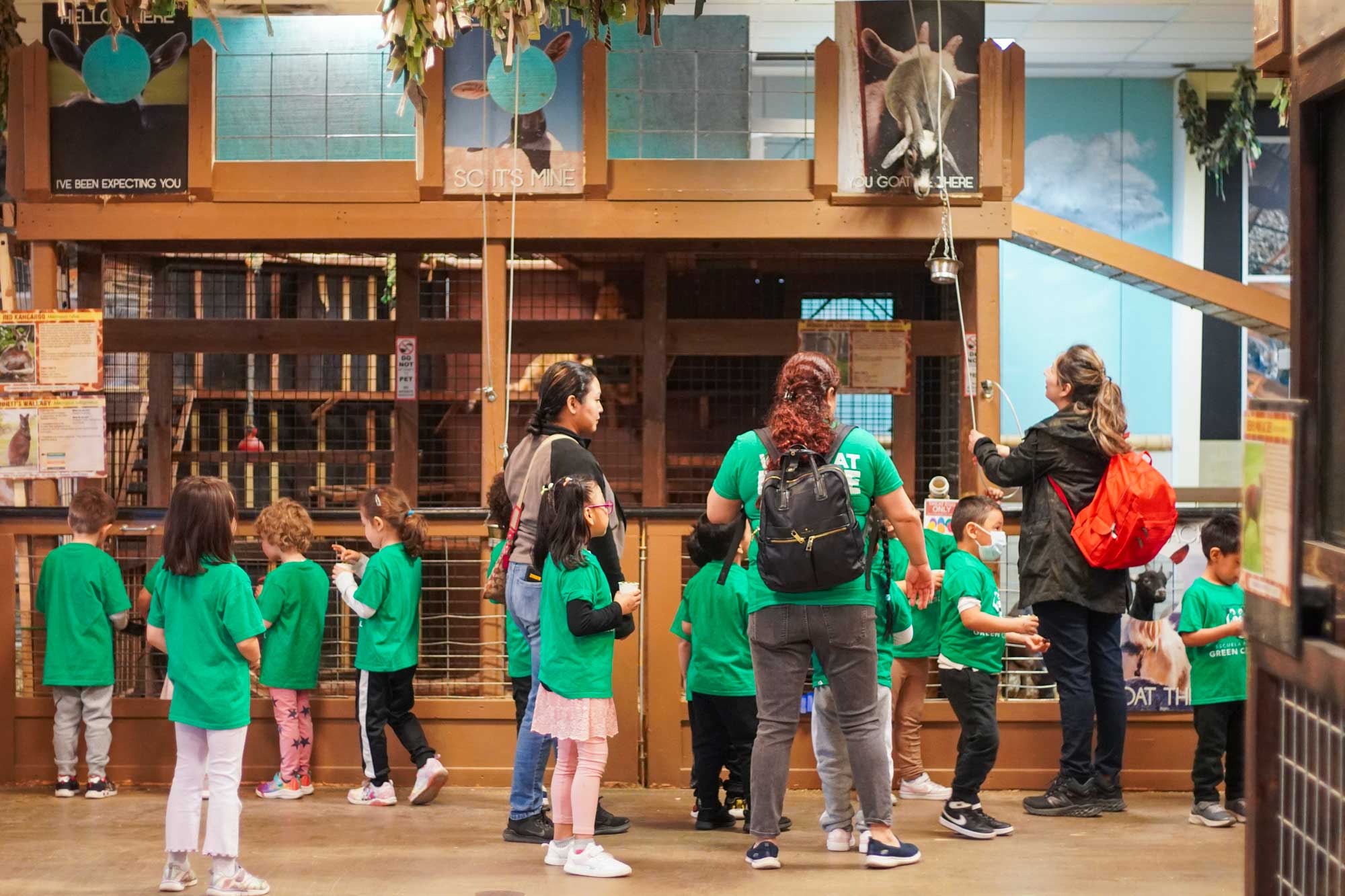 large group field trip with children feeding animals