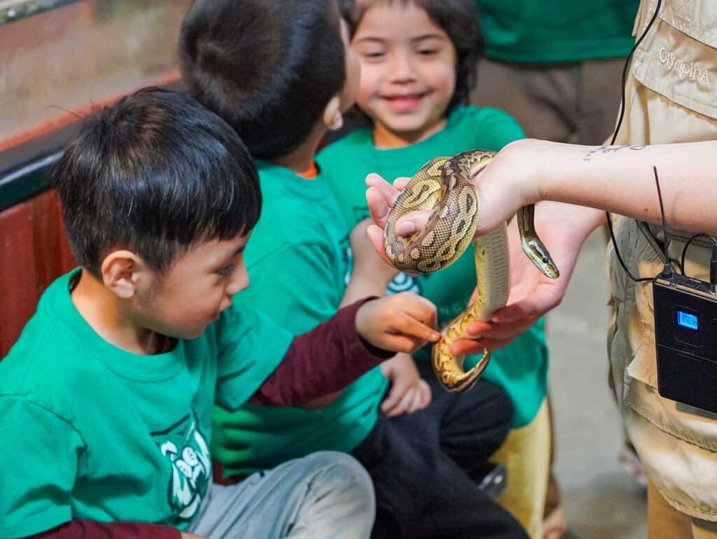 children looking at a snake up close and touching it