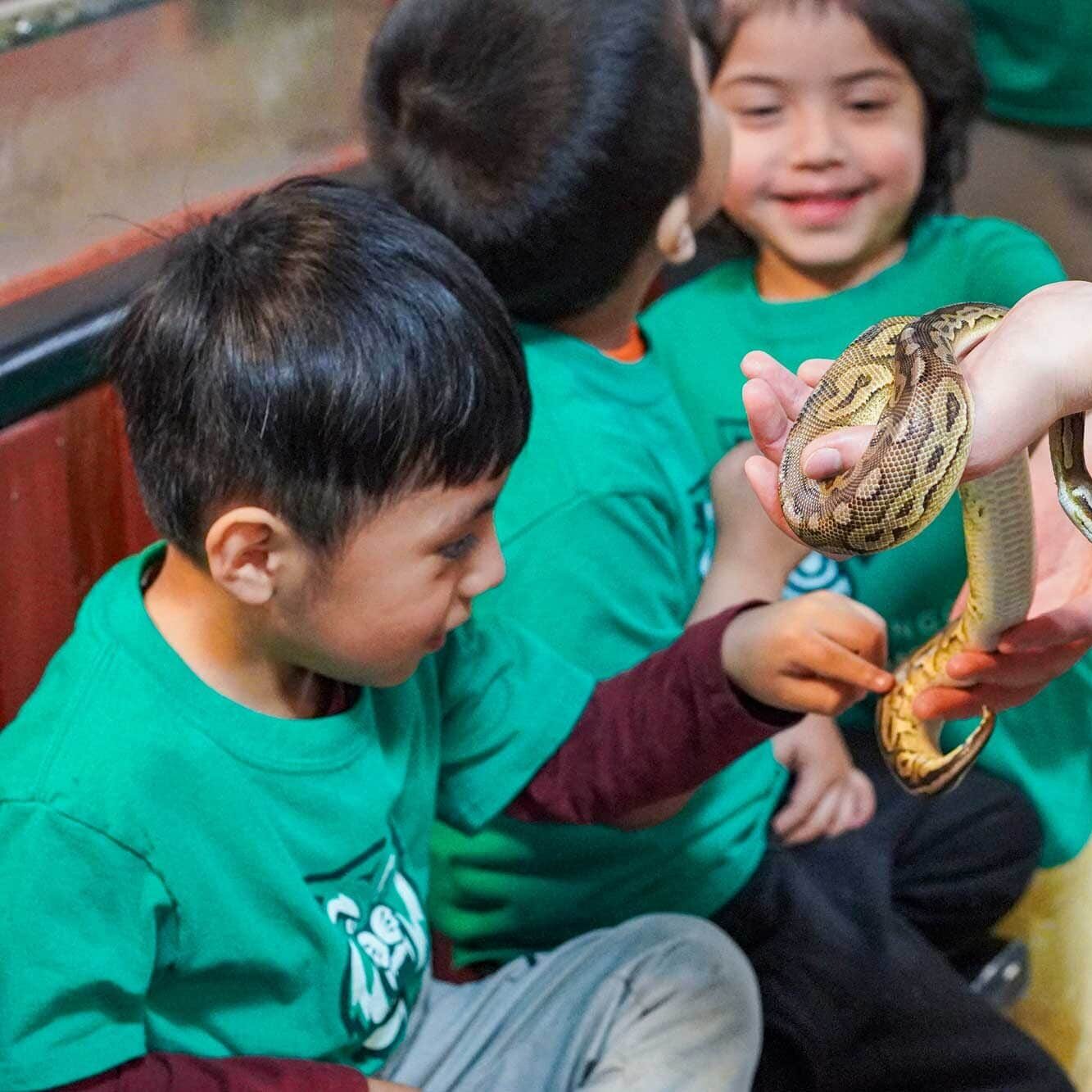 children looking at a snake up close and touching it