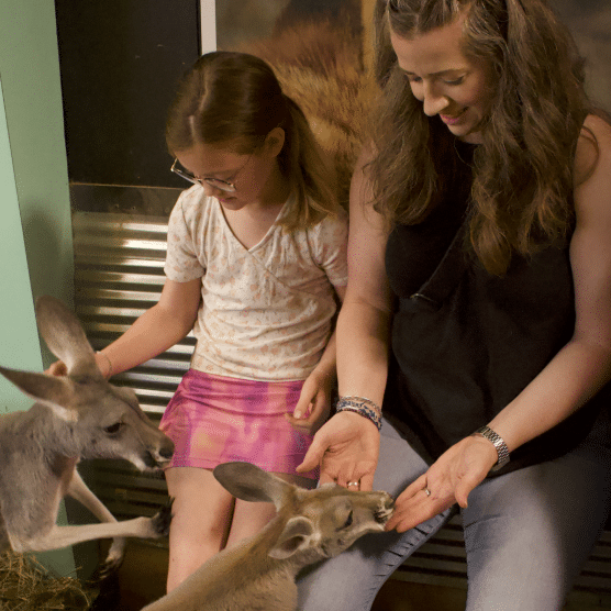 A woman and a girl petting kangaroos