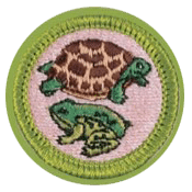 Reptile and Amphibian Merit Badge