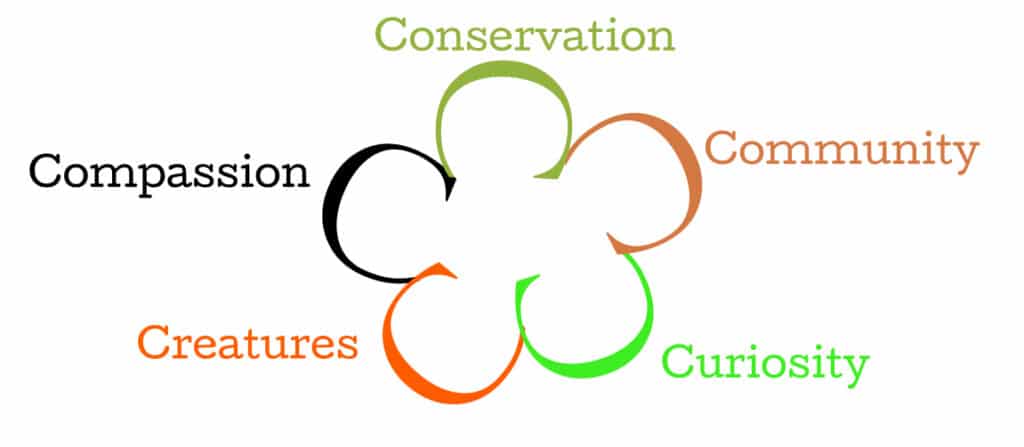 5 "C" words creating a flower shape with the "C"s as each flower petal. Conservation, Community, Curiosity, Creatures, and Compassion.