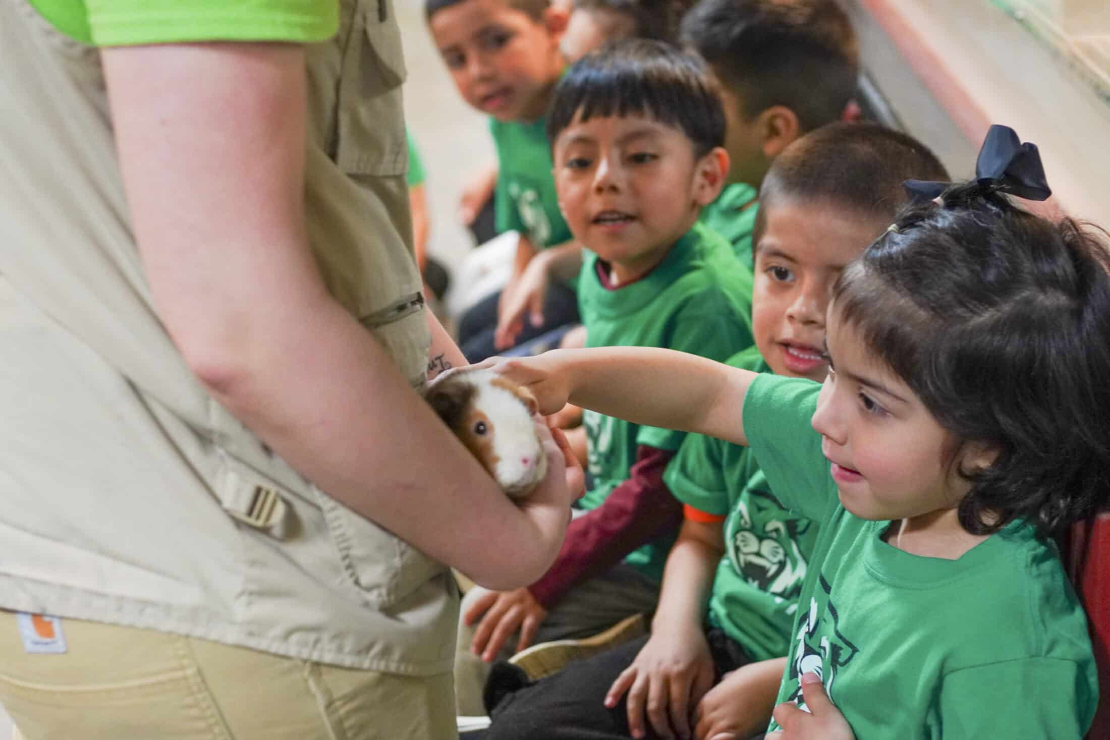 children petting a guinea pig