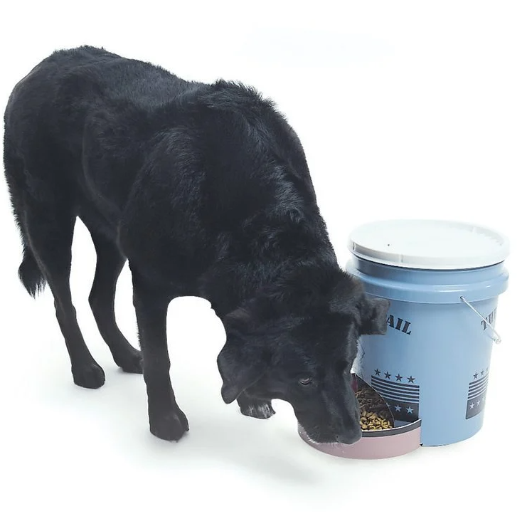 Dog eating from a reused bucket and container cut into a bowl with a large storage container for auto-feeding