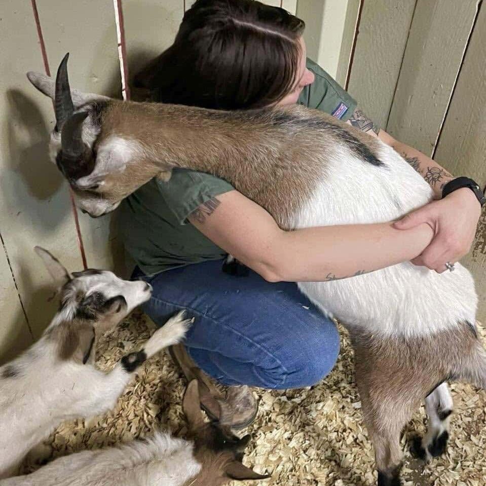 vet staff hugging a goat