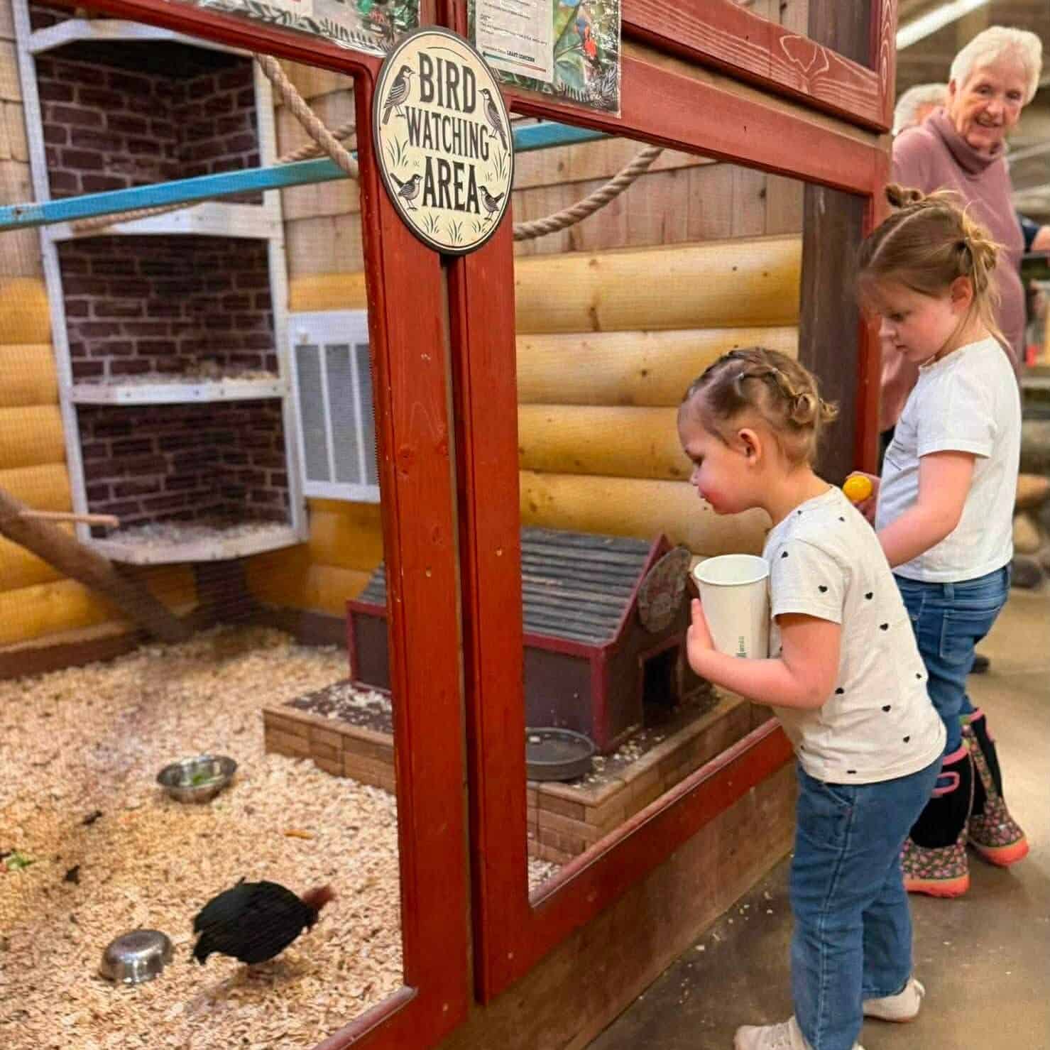 two girls looking at a small bird